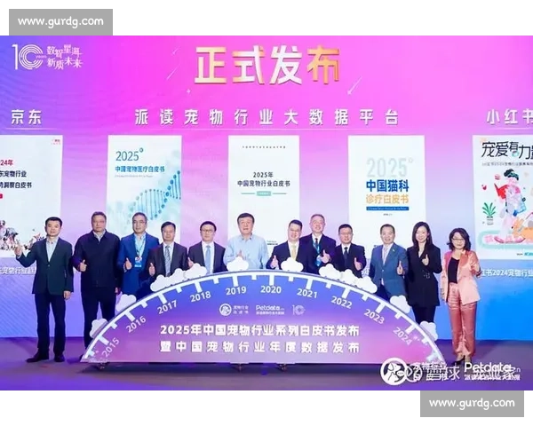 淬炼八年:中国各梯队外战的财富密码